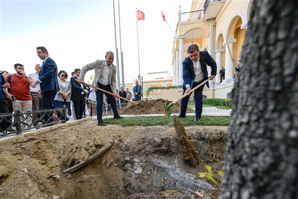 İzmir’de devrilen çınar ağacının yerine yenisi dikildi