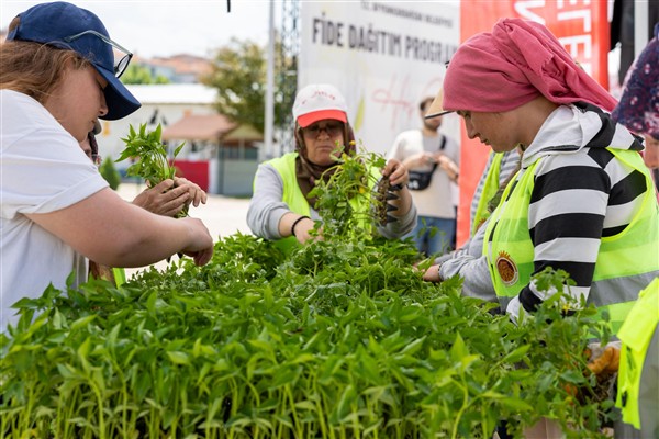 Afyonkarahisar’da yaklaşık 1 milyon fide dağıtıldı