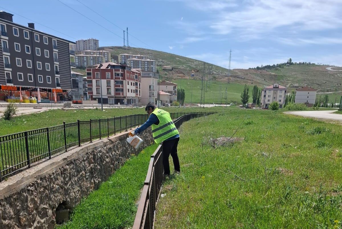 Bayburt Belediyesi, çevre çalışmalarını sürdürüyor