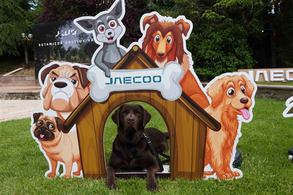 JAECOO J-CLUB etkinliğini evcil hayvan temasıyla gerçekleştirdi