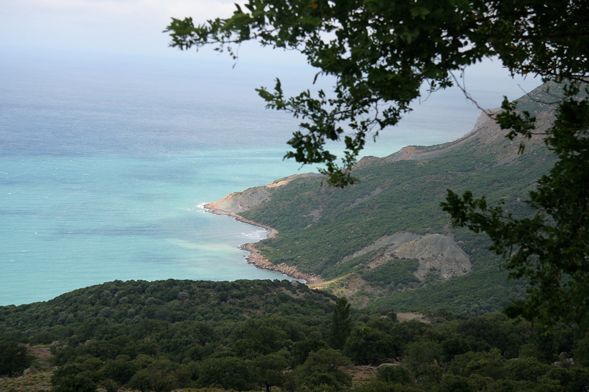 Gökçeada, Cittaslow unvanı ile dünyanın ilk ve tek sakin adası oldu