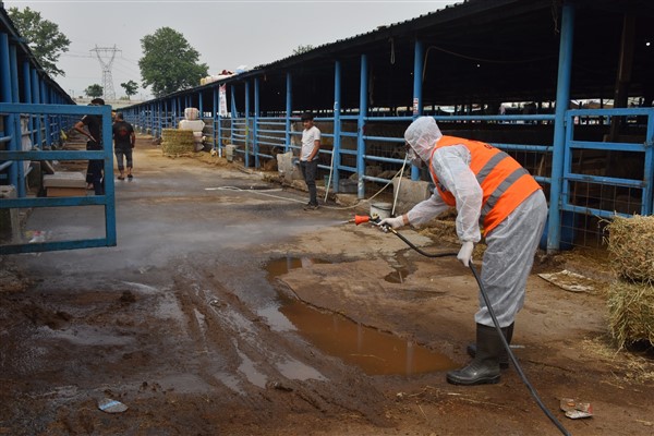 Yıldırım Belediyesi’nde Kurban Bayramı hazırlıkları