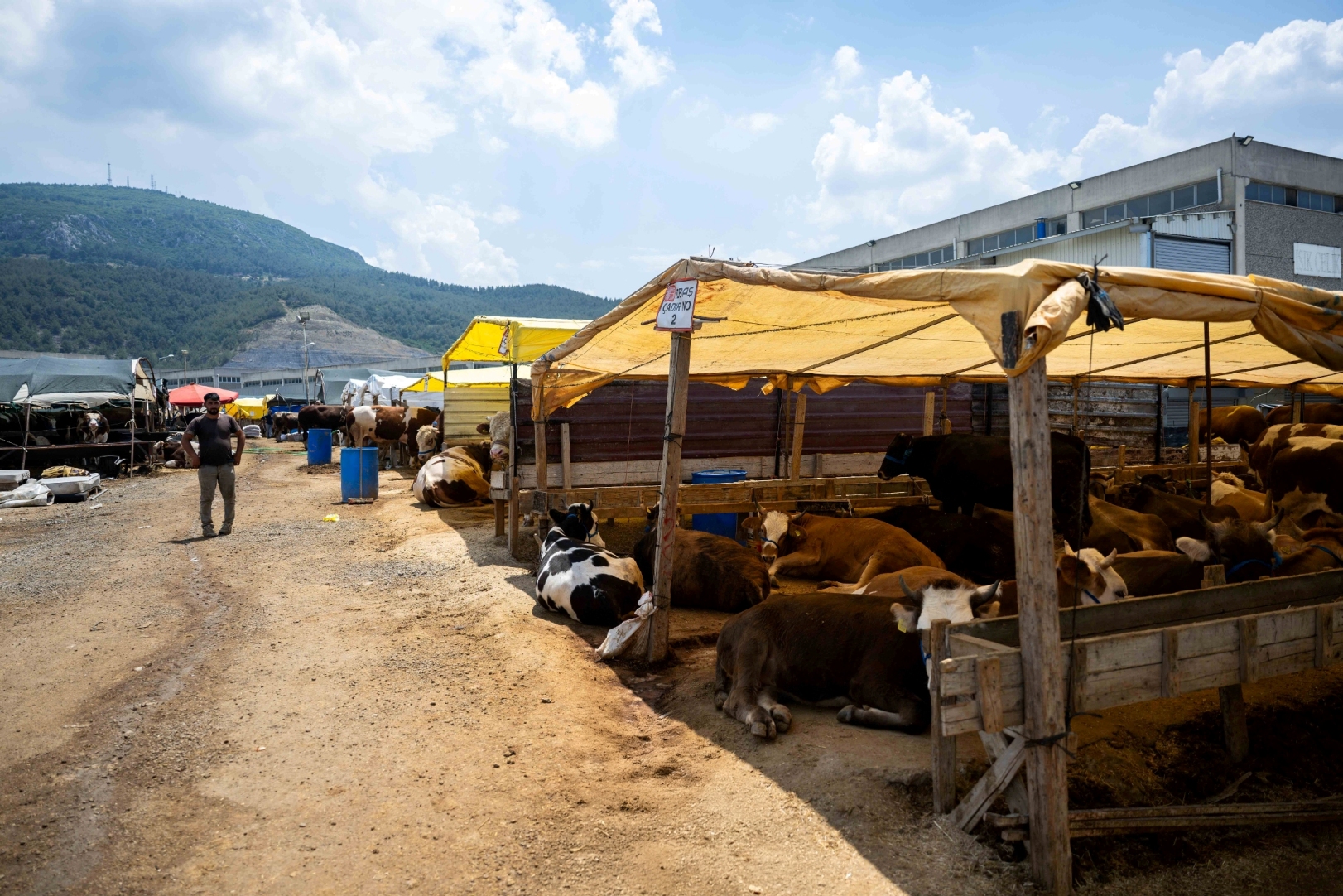 Bornova Kurban Pazarı kapılarını açtı