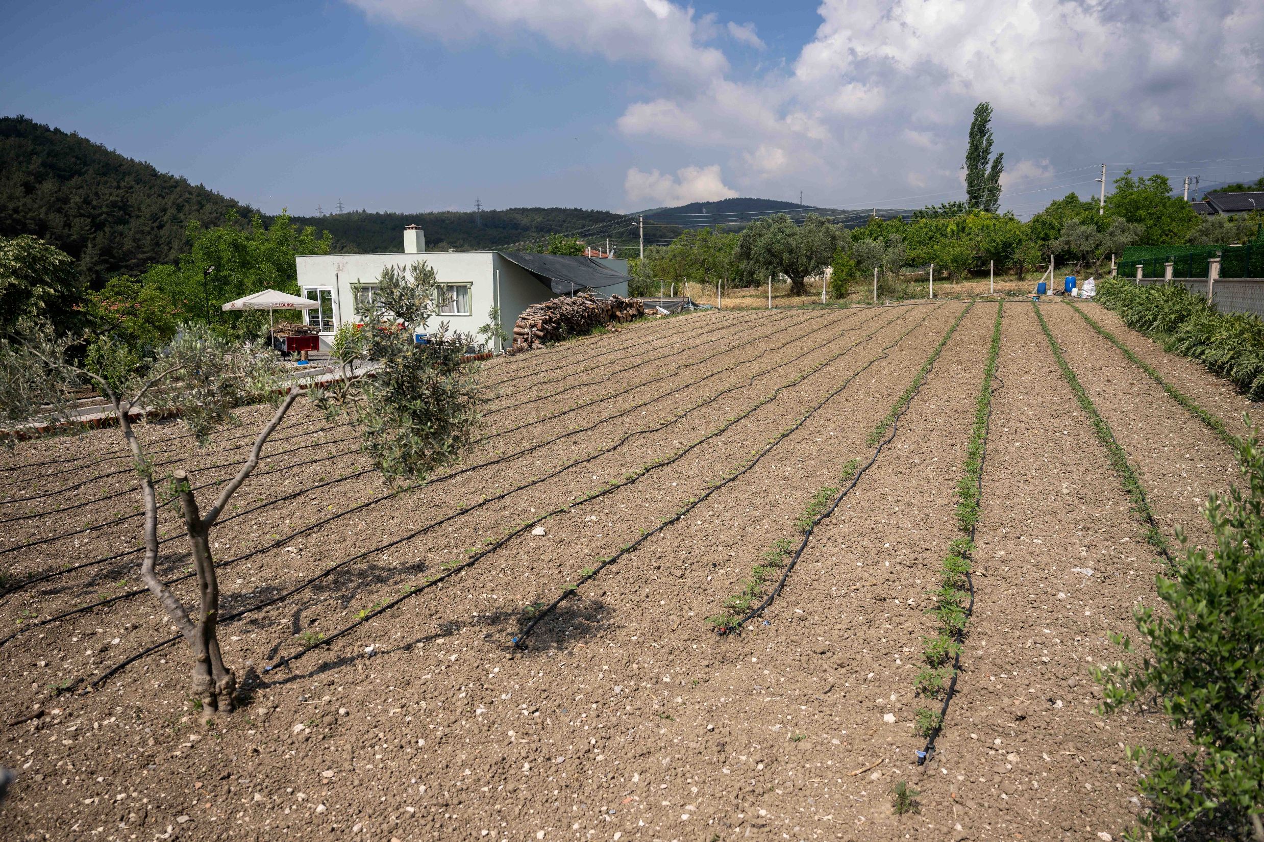 Bornova Belediyesi’nden gübre desteği