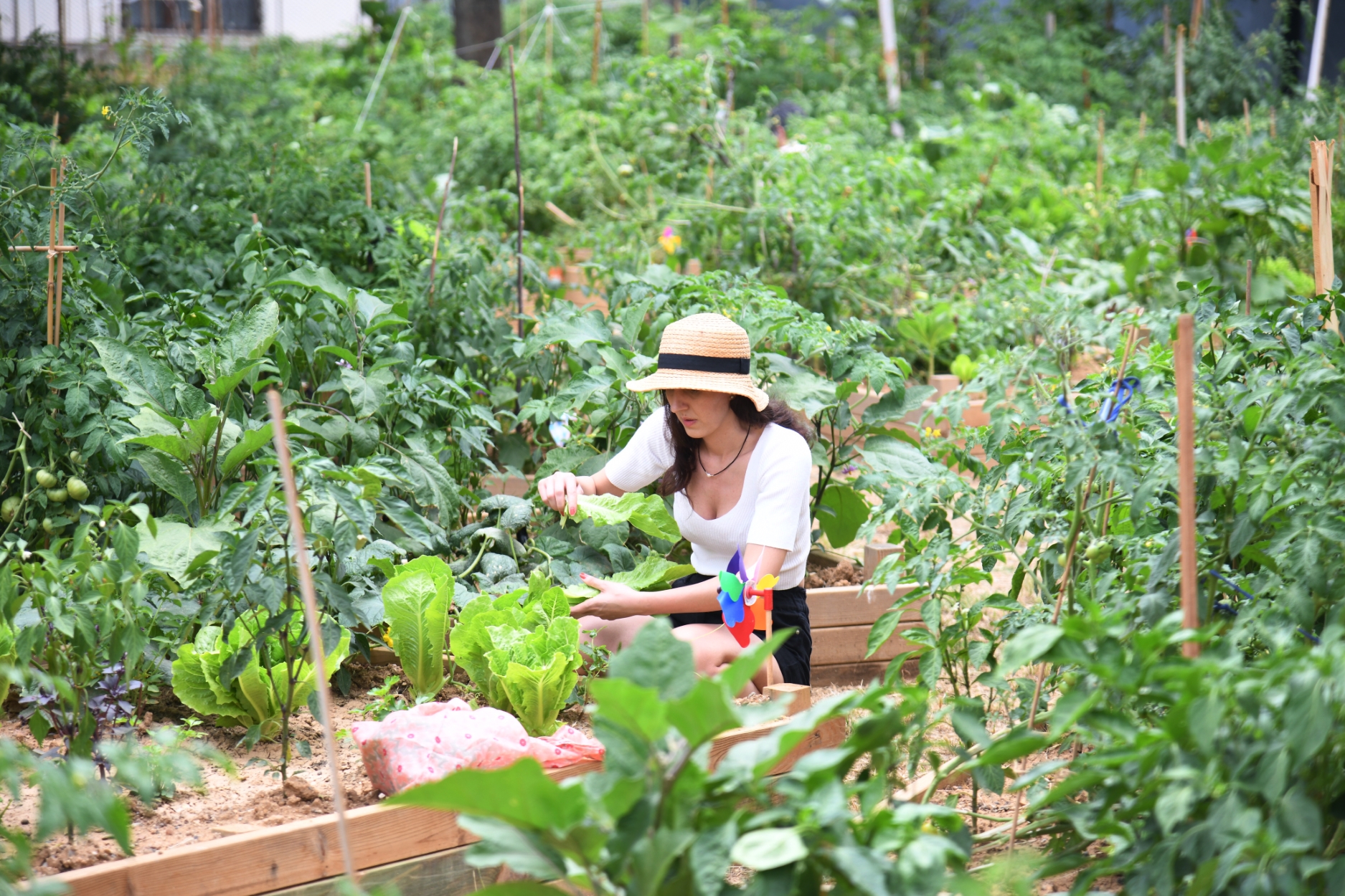 Kadıköy Belediyesi, CDP 2024 A Listesi’nde