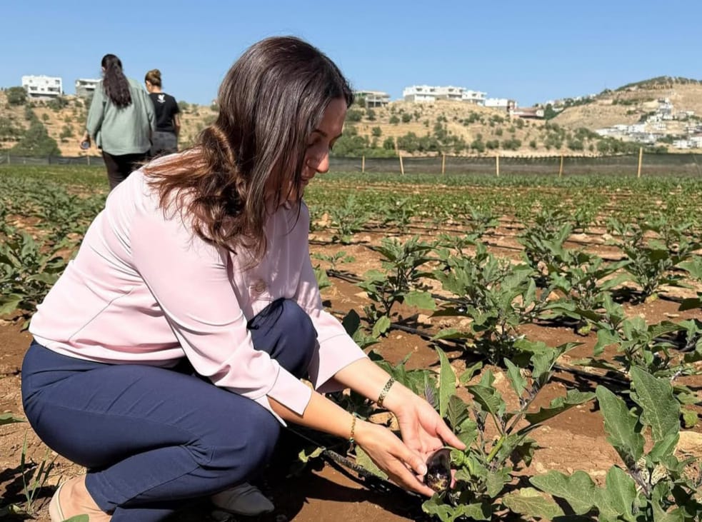 Mazıdağı Kadın Kent Bostanı’nda ilk hasat