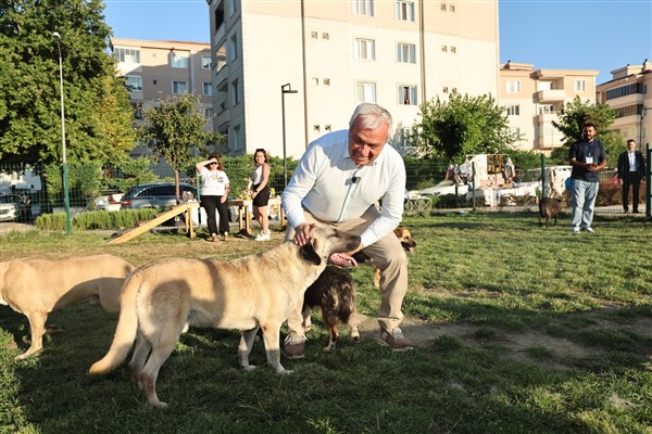 Nilüfer’de Sahiplendirme Şenliği düzenledi
