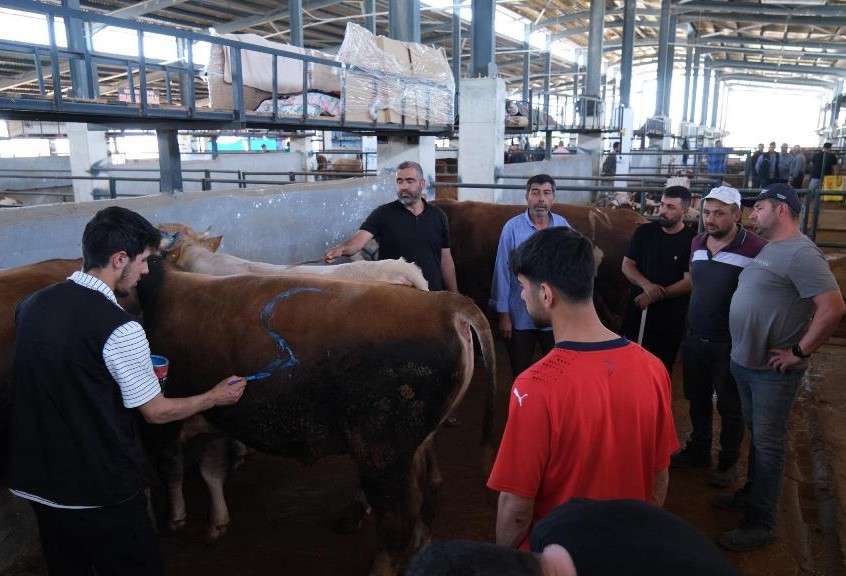 İnegöl Modern Hayvan Pazarı, Kurban Bayramı’nda beklentileri karşıladı
