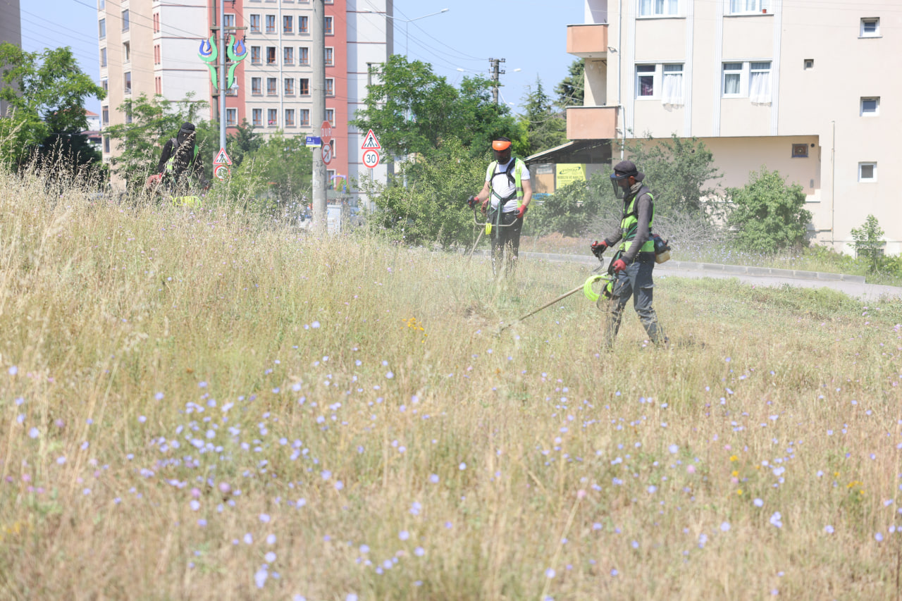 Çayırova’da boş arazilerdeki otlar biçiliyor