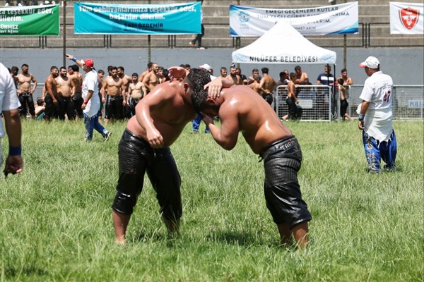 Bursa Nilüfer’de 63. Tarihi Çalı Yağlı Güreşleri başladı