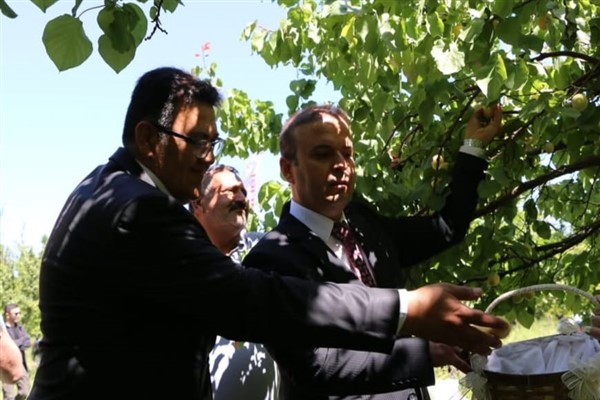 Iğdır’da “Kayısı Hasat Günleri” etkinliği düzenlendi
