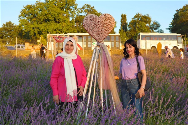 İzmit’te Lavanta Şenliği düzenlendi