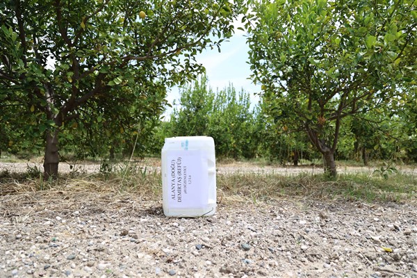 Antalya’da organik atıklar toprak iyileştirici ürüne dönüştürüldü