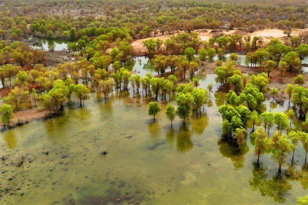 Çölde yeni iş modeli gelişiyor