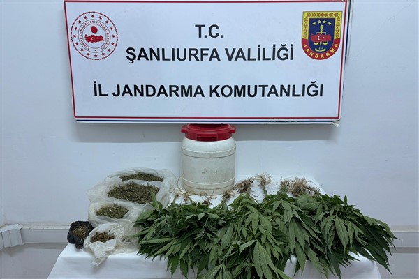 Suruç’ta uyuşturucu operasyonu