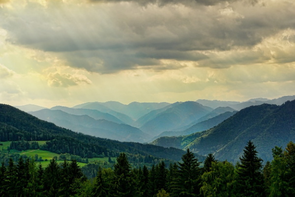 Muğla’da ormanlara giriş yasaklandı