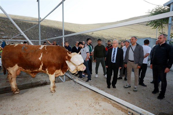 Yenimahalle’de kurbanlar kesildi