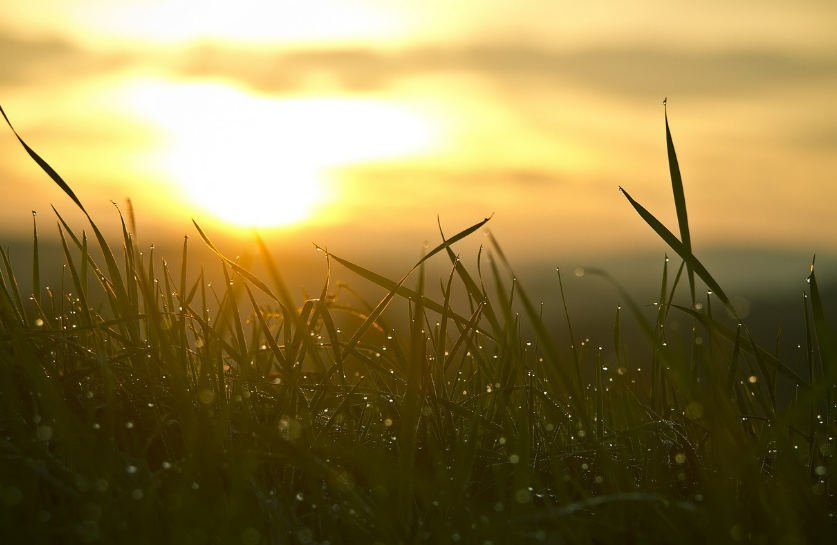 Hava sıcaklıkları mevsim normallerinin üzerinde seyredecek