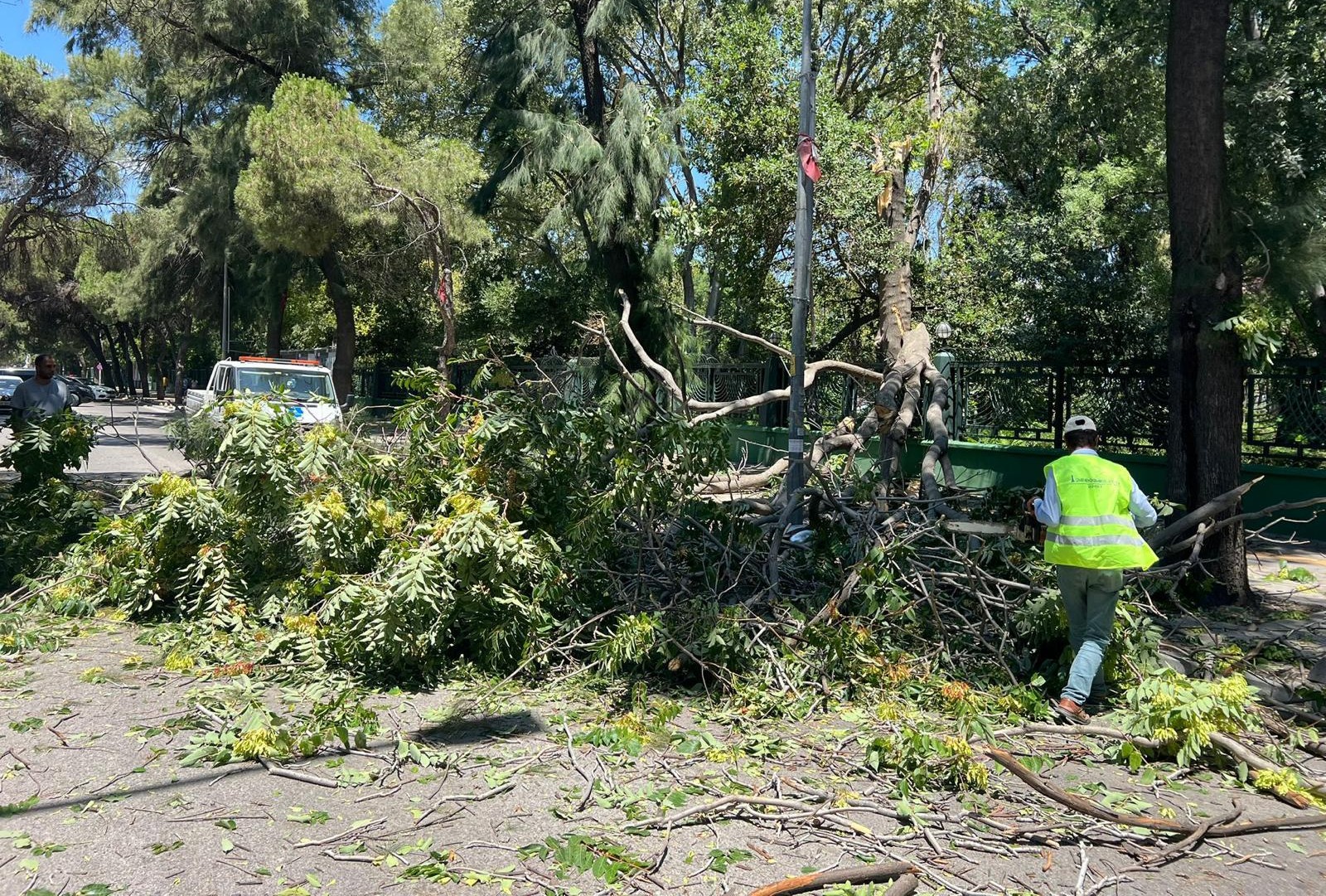 İzmir’de yangın ve fırtına teyakkuzu