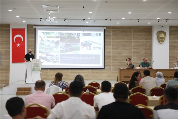 Yaban domuzlarının ekosistem ve halk sağlığına etkileri Muğla’da masaya yatırıldı