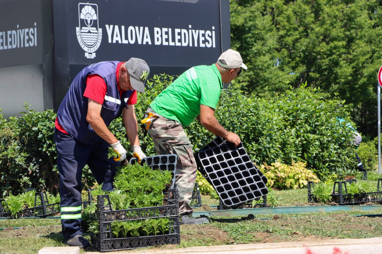 Yalova Belediyesi’nden mevsimlik çiçek dikimi