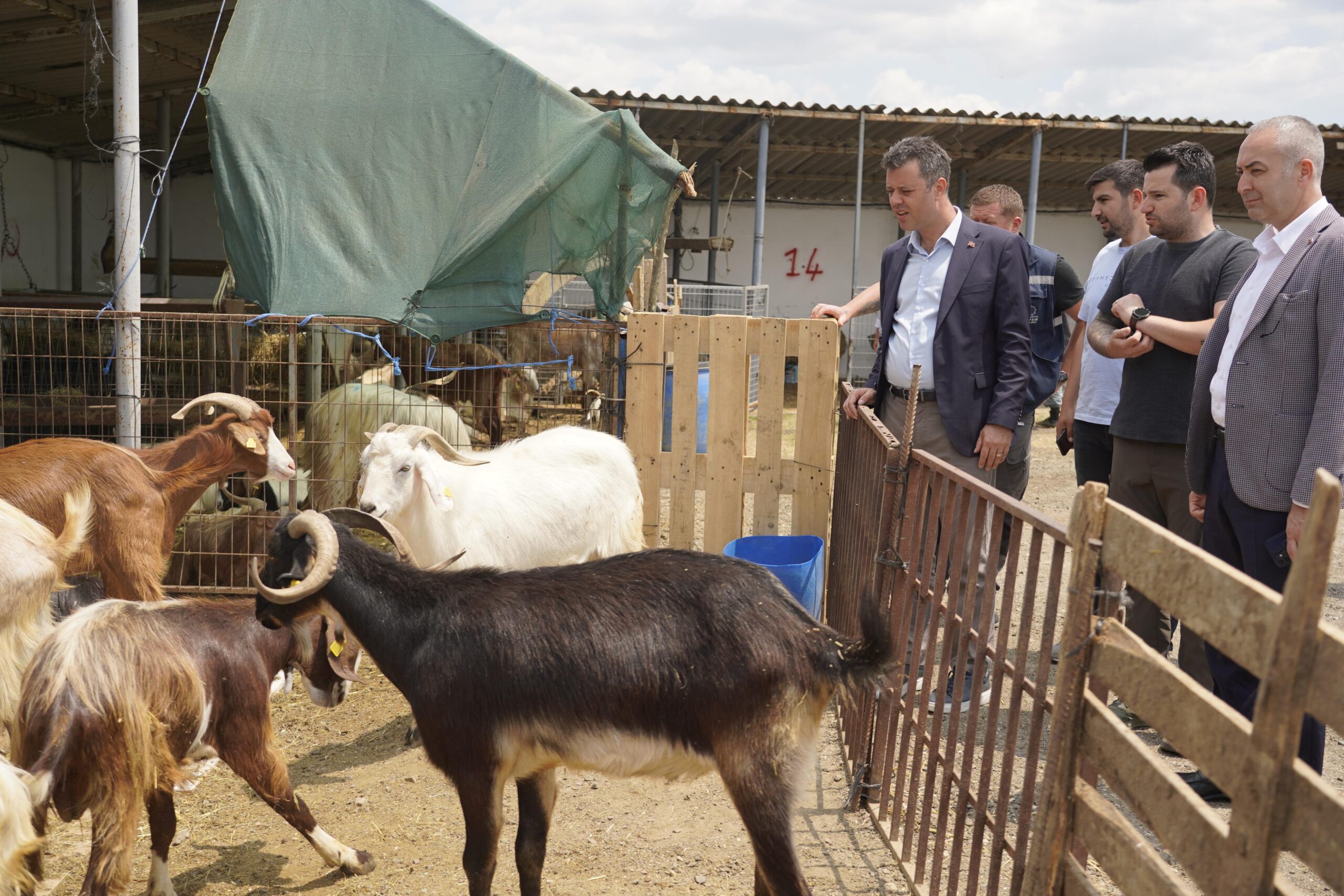 Çorlu Belediyesi, kurban satış pazarının hazırlıklarını tamamladı