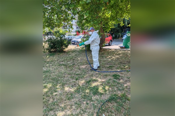 İBB, vektörlerle mücadele çalışmalarına devam ediyor