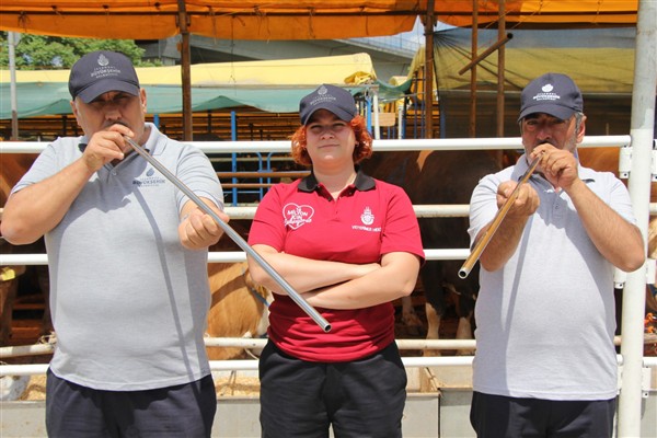 İBB’nin Boğa Yakalama Timi göreve hazır