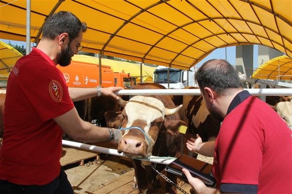 İBB Kurban Bayramı hazırlıklarını tamamladı