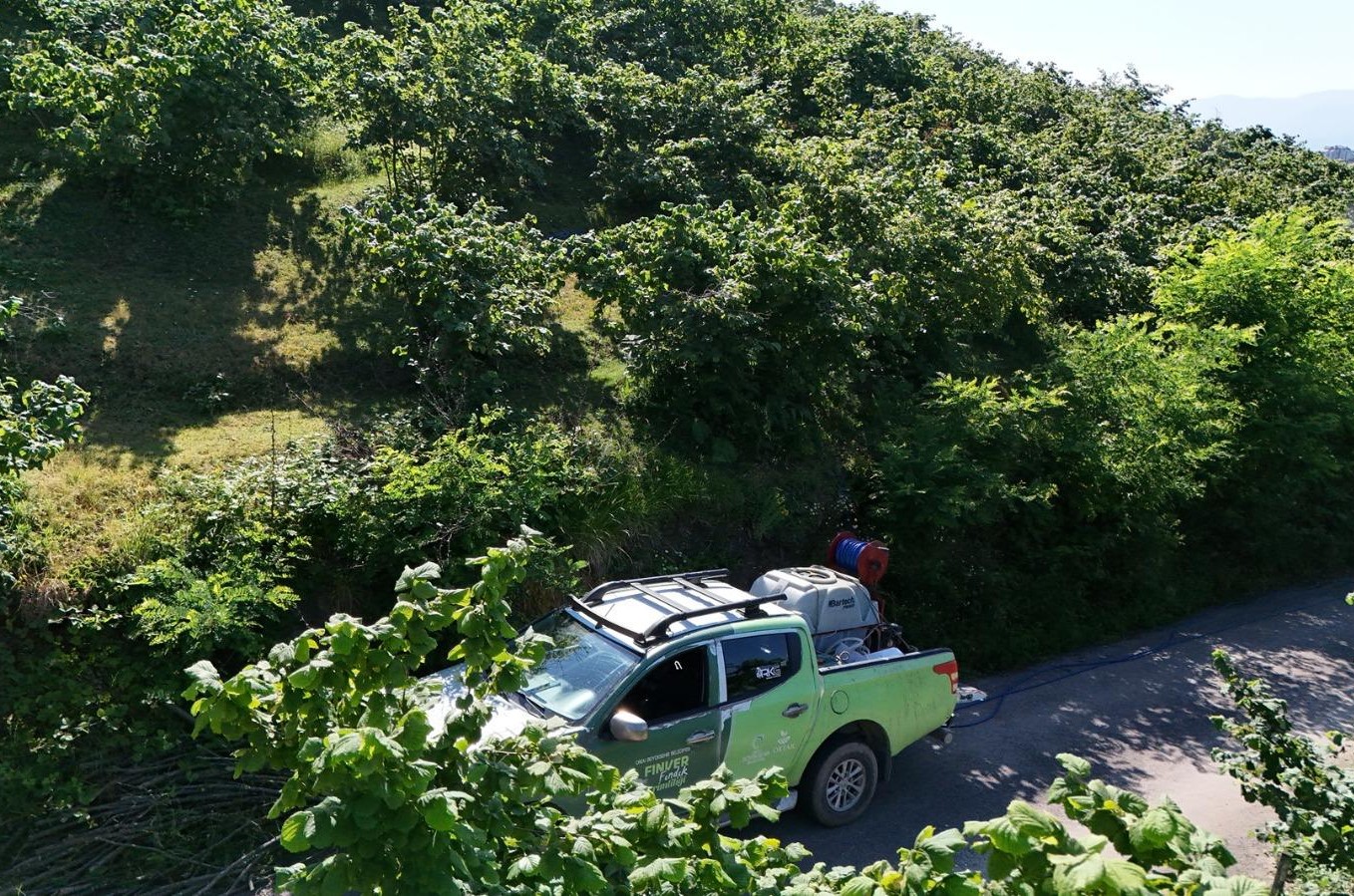 FINVER bahçelerinde kahverengi kokarca ile mücadele çalışmaları yapılıyor