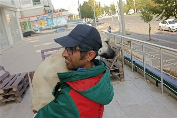 Hayvansever Aydoğmuş’tan sokak hayvanları için destek çağrısı