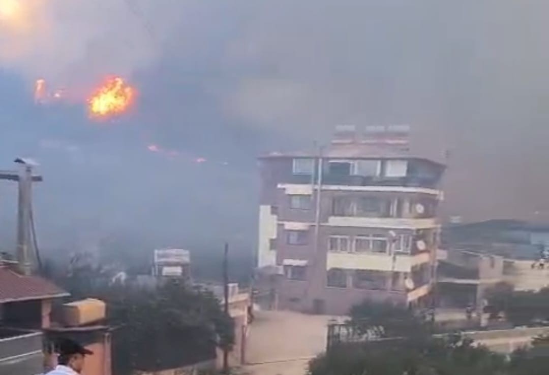 Hatay’daki orman yangınına soruşturma başlatıldı