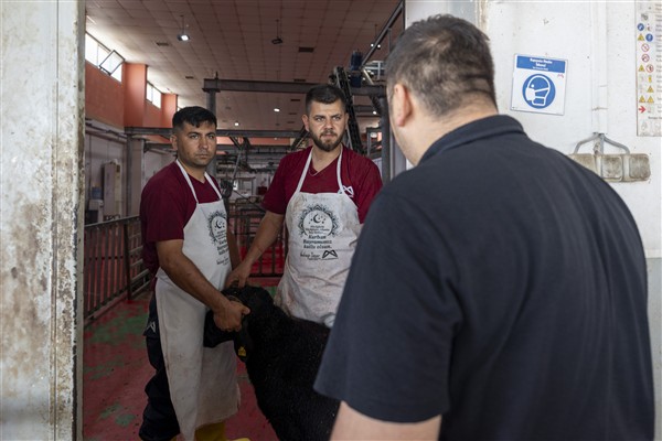 Mersin Büyükşehir Belediyesi’nden ücretsiz kurban kesim hizmeti