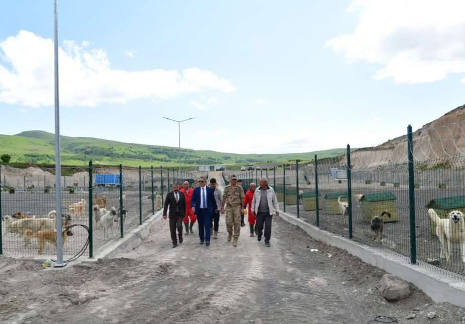 Vali  Çiçek, sahipsiz hayvan barınağında incelemelerde bulundu
