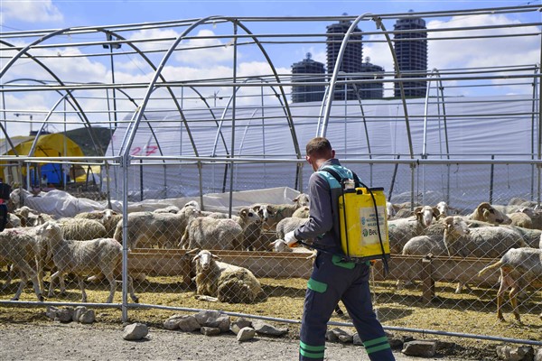ABB, ilaçlama çalışmalarını Kurban Bayramı öncesi artırdı