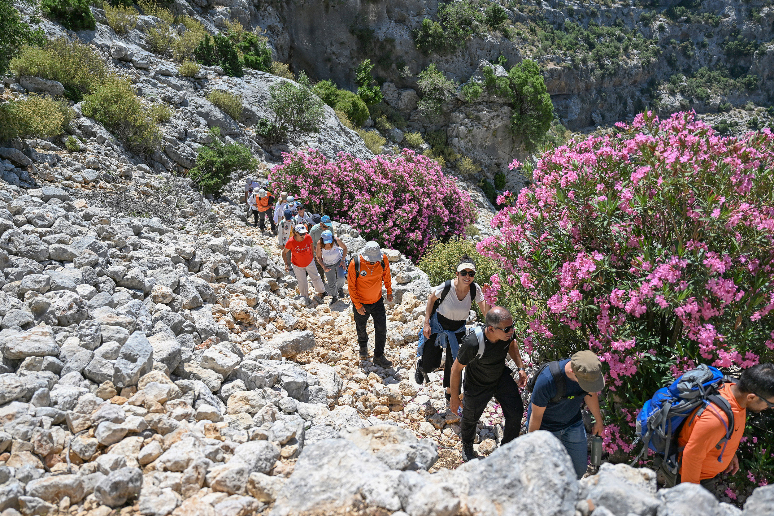 Tarihi Kilikya Yolu Projesi, katılımcıları ağırlamaya devam ediyor