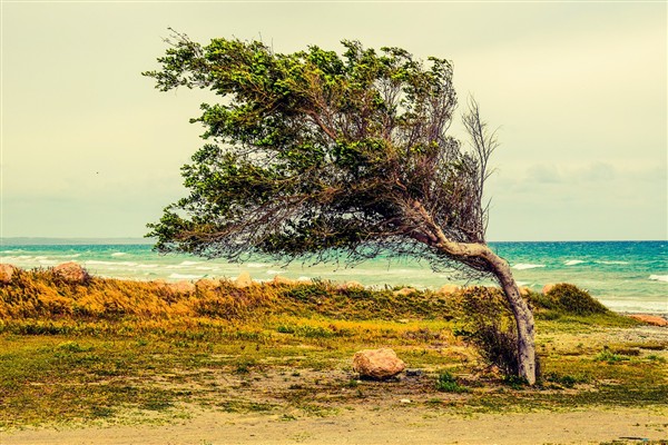 Marmara ve Ege için kuvvetli rüzgar ve fırtına uyarısı