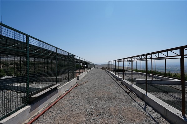 Kayseri’de sahipsiz hayvanlar için yeni yaşam alanları oluşturuluyor