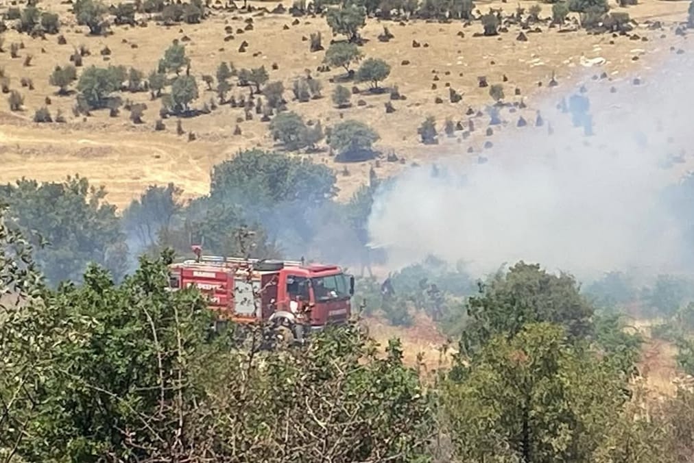 Mazıdağı kırsalında çıkan orman yangını kontrol altına alındı