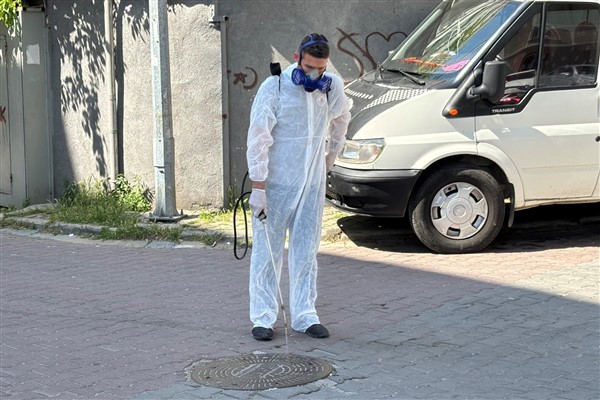 Kağıthane’de haşere ve sineklerle mücadele çalışmaları