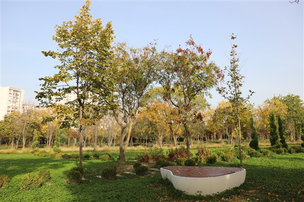 İBB, kente 2 milyon metrekarelik yeni yeşil alan kazandırdı