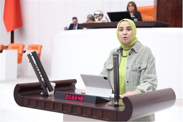 DEVA Partili Esen: Ormanlar yanarken hepimizin nefesinden eksiliyor!