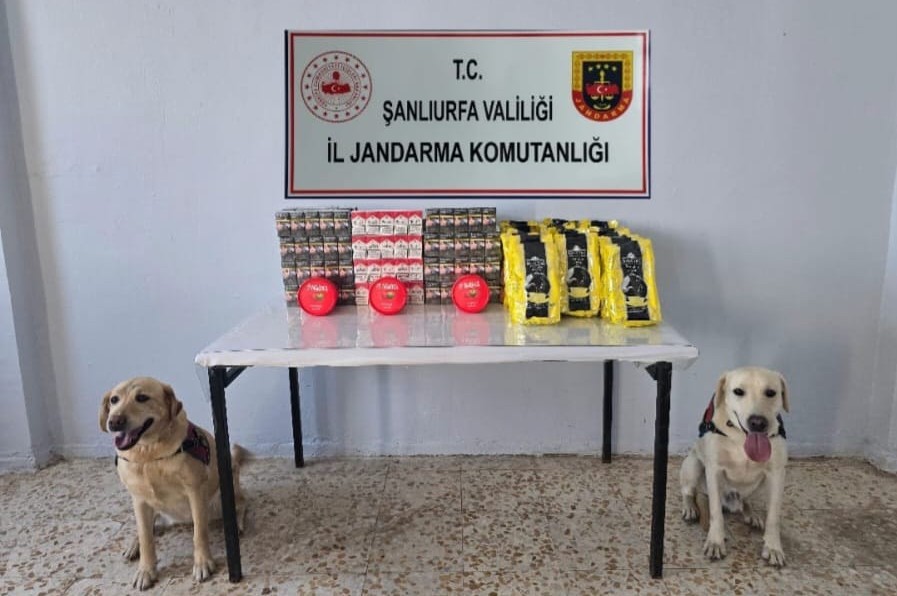 Şanlıurfa jandarmasından kaçak sigara operasyonu