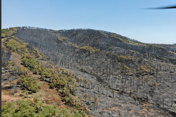 Osmangazi Belediyesi’nden orman yangınlarına destek