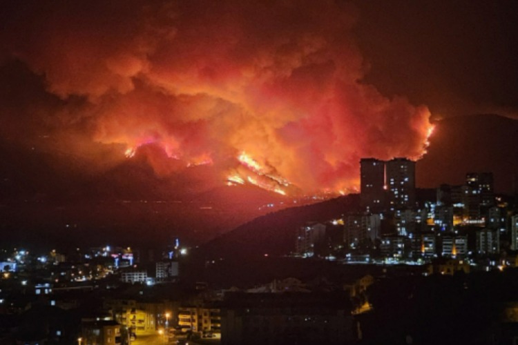 Bursa’daki yangınlarla ilgili son durum