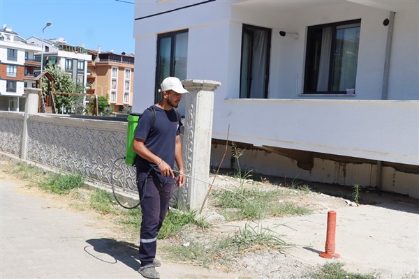 Yalova’da yabani otlar ilaçlanarak kurutuluyor