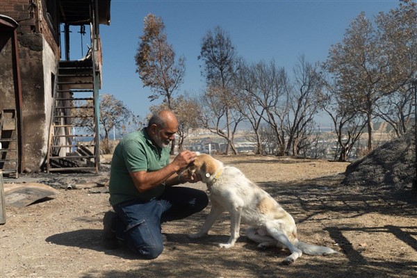 Aliağa’daki yangından kurtarılan Kaptan sahiplendirildi