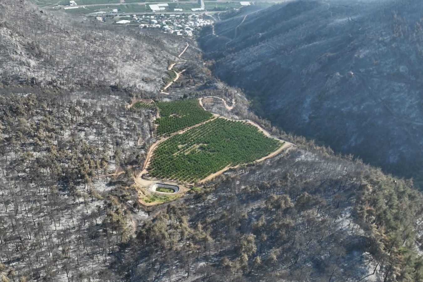 ADD İl Başkan Yardımcısı Küçüksarı: Unutulan yangın yolları hayat kurtarır