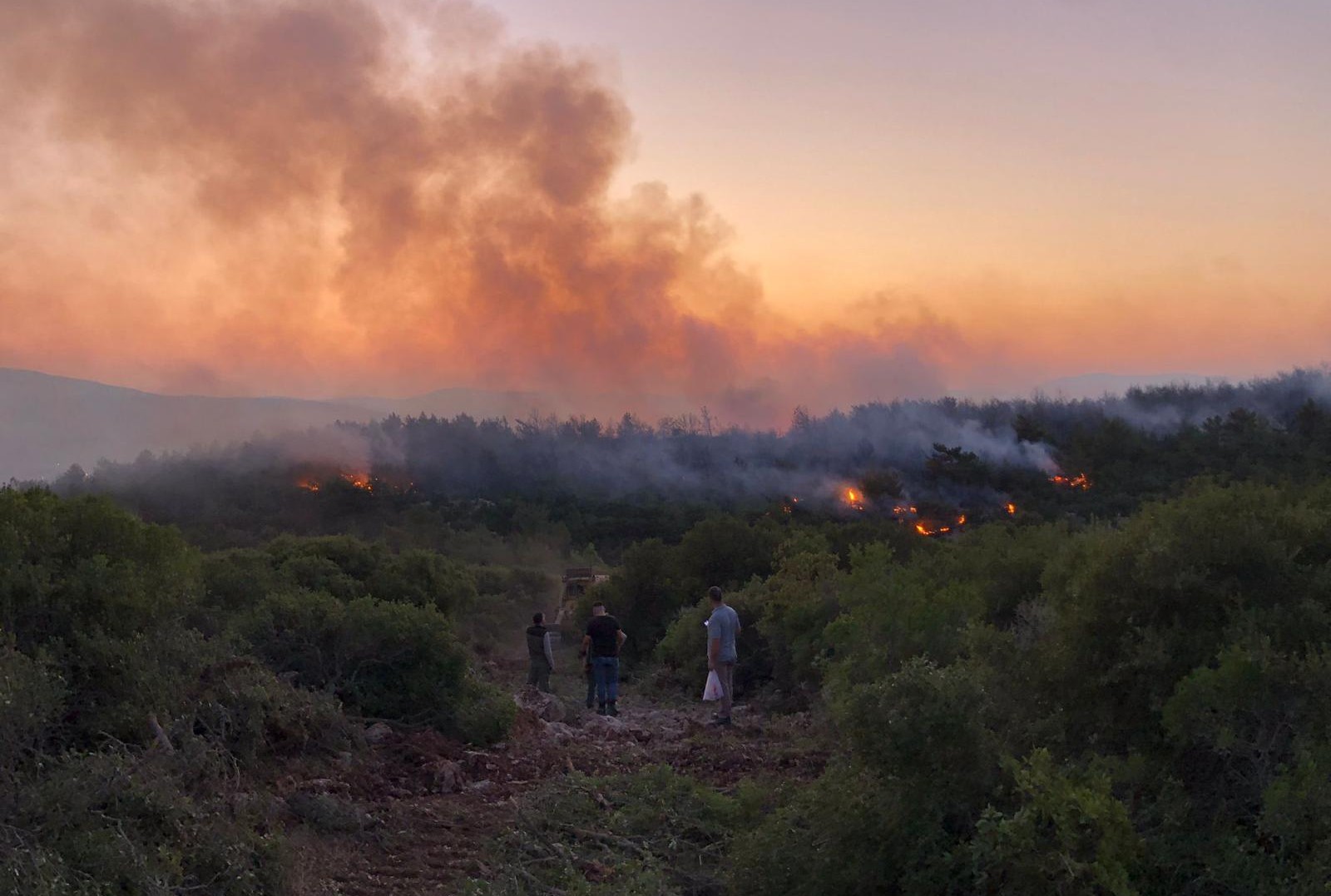 Urla’da yangın kontrol altına alındı