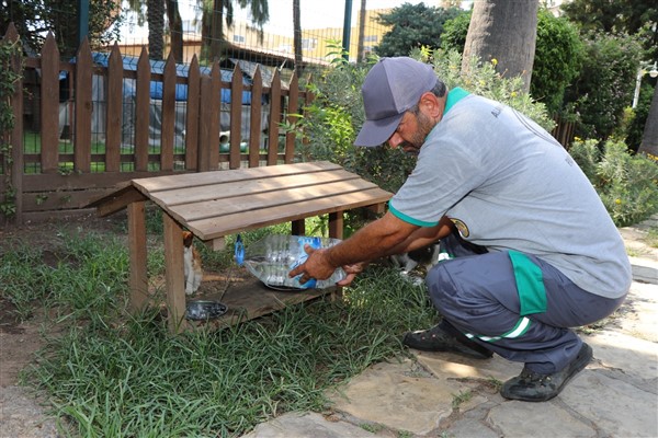 Alanya Belediyesi, mama ile su ünitelerini temizledi